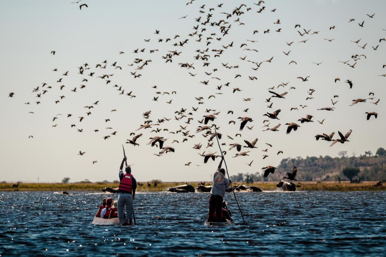 קסנה Chobe Marina Lodge מראה חיצוני תמונה