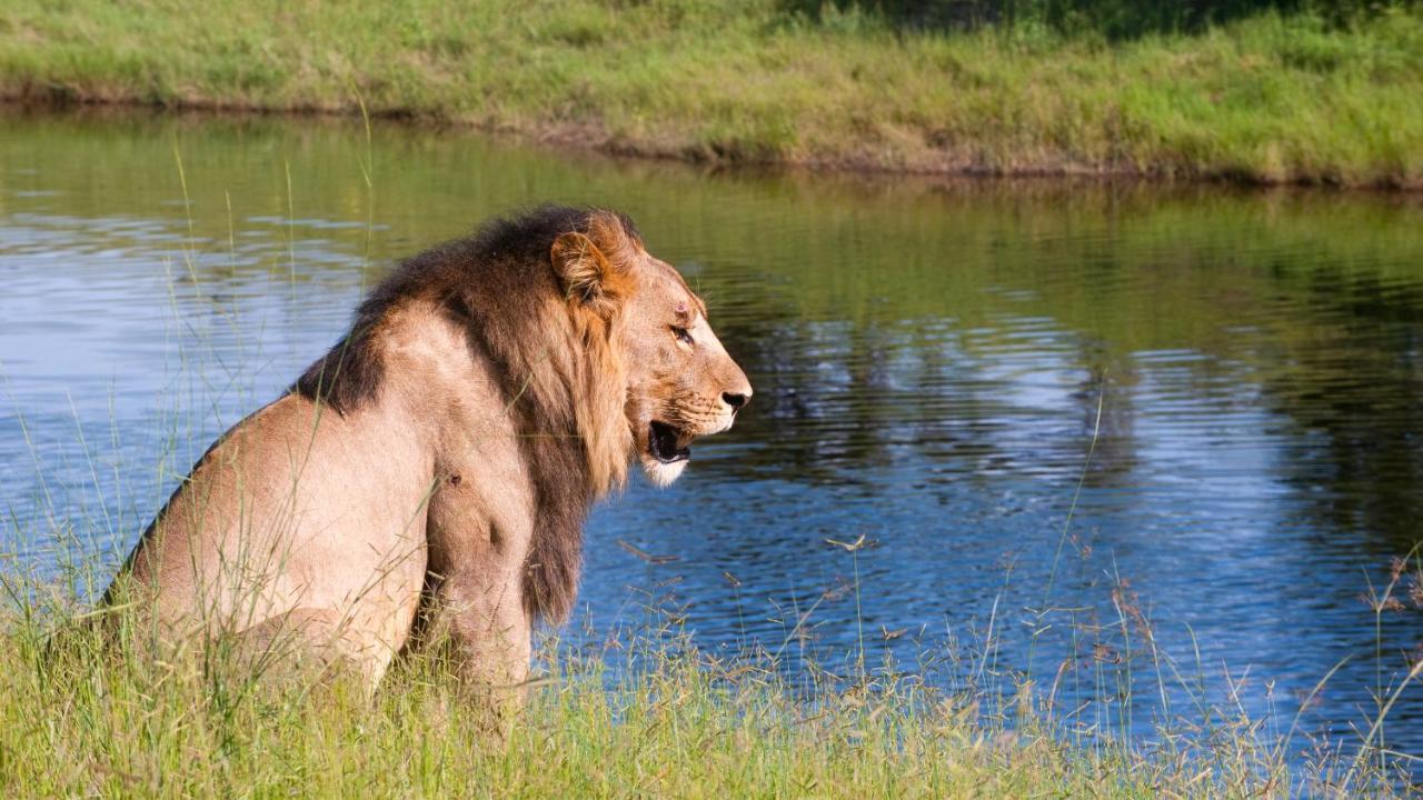 קסנה Chobe Marina Lodge מראה חיצוני תמונה