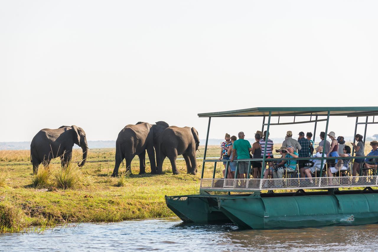 קסנה Chobe Marina Lodge מראה חיצוני תמונה