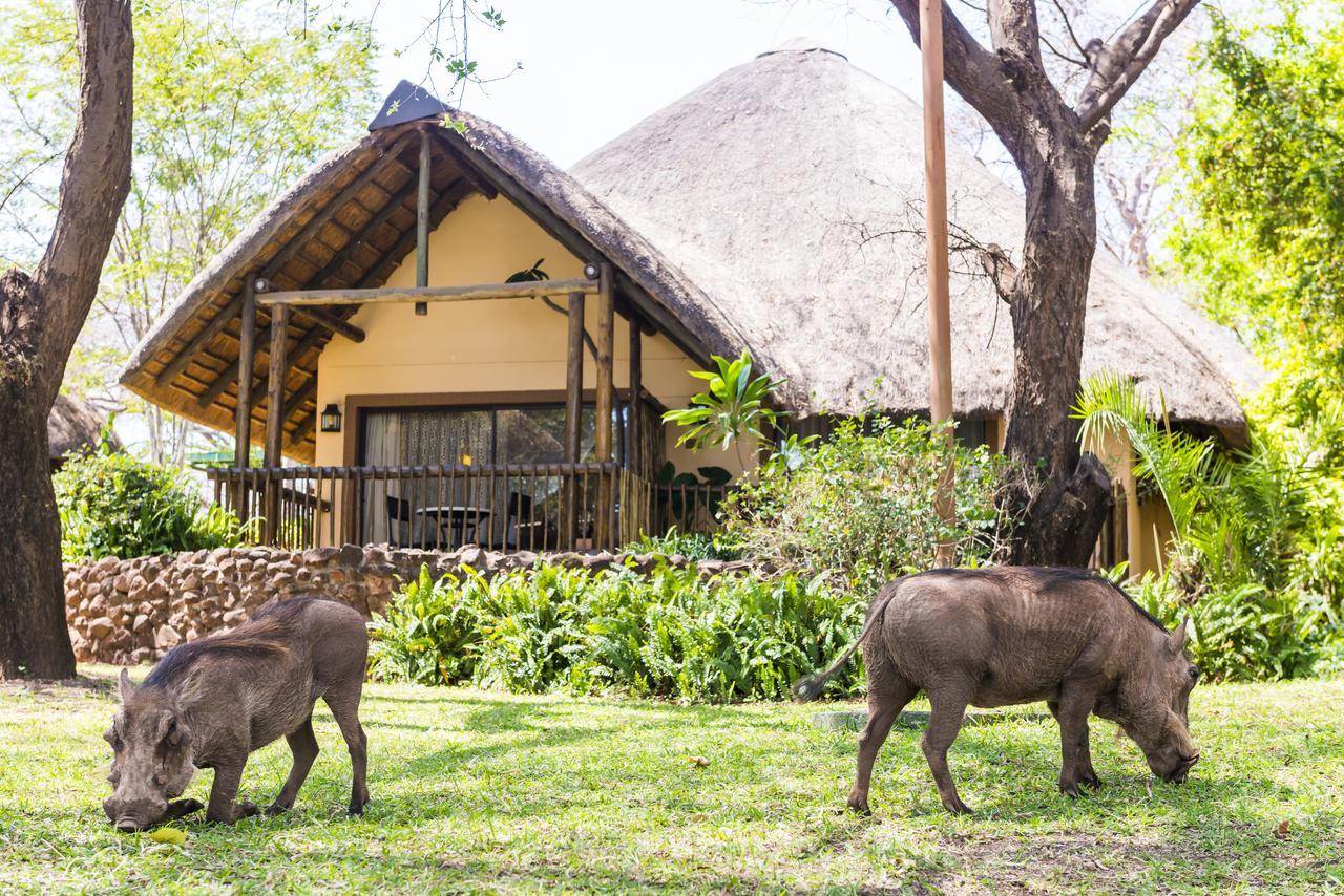 קסנה Chobe Marina Lodge מראה חיצוני תמונה